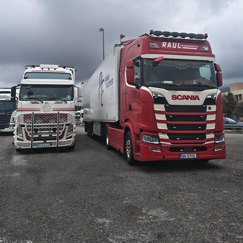 Camioanele Transportes Raul fotografiate in parcare