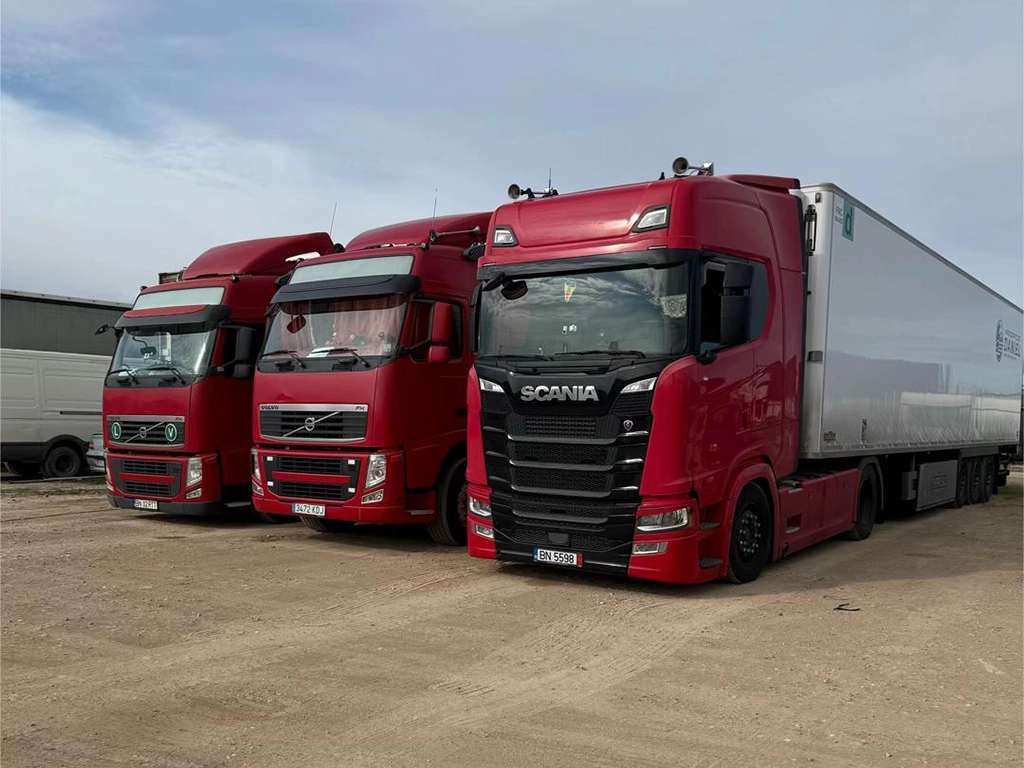 Camioanele Transportes Raul asteptand sa fie puse la munca