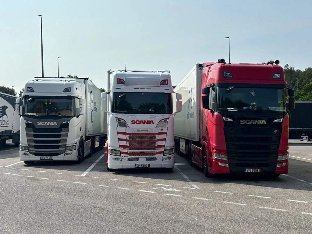 Camioanele Scania din flota Transportes Raul fotografiate in parcare