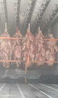 transport carne la carlige